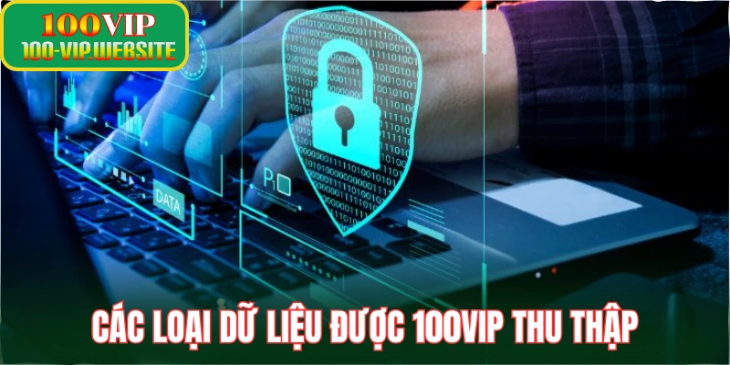 Các loại dữ liệu được 100vip thu thập