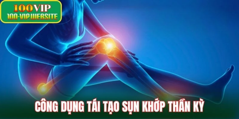 Công dụng tái tạo sụn khớp thần kỳ