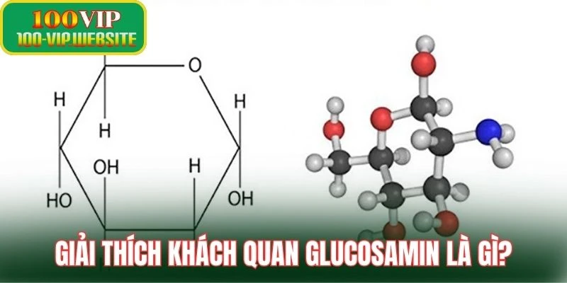 Giải thích khách quan Glucosamin là gì?