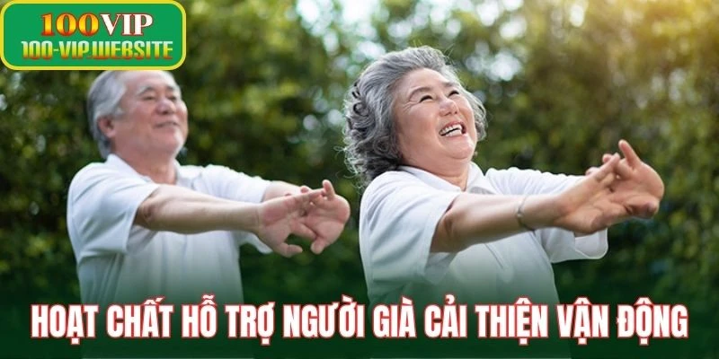Hoạt chất hỗ trợ người già cải thiện vận động