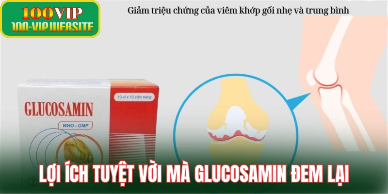 Lợi ích tuyệt vời mà glucosamin đem lại