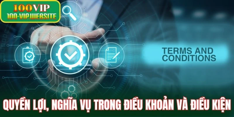 Quyền lợi, nghĩa vụ trong điều khoản và điều kiện
