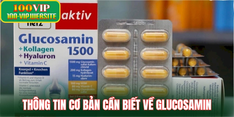 Thông tin cơ bản cần biết về glucosamin